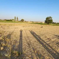 زمین کشاورزی جاده دامپروری