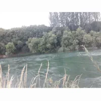 باغ پلاک دوم رودخانه حوالی پل زمانخان روستای چمنار|فروش دفتر صنعتی، کشاورزی، تجاری|نجف‌آباد, امام خمینی|دیوار