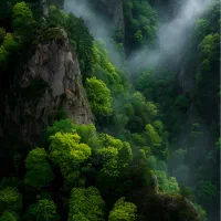 خط بیلبردی بدون تماس 912.046.7006