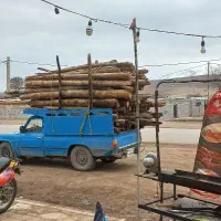 خریدو فروش و برش انواع درخت و چوب سقفی، نال. نقد
