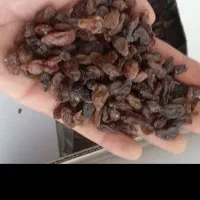 کشمش ابگیری و۰۰۰|خوردنی و آشامیدنی|کرمانشاه, |دیوار