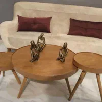 انواع جلو مبلی شرکتی با شرایط ویژه