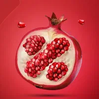 ۴۰٪تخفیف برای شب یلدا