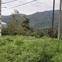 فروش زمین با پروانه ساخت در روستای ورکوره|فروش زمین و ملک کلنگی|رانکوه, |دیوار