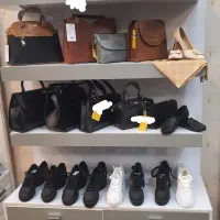 ویترین و دکور و رگال