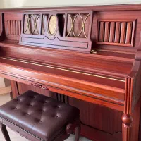 پیانو اکوستیک چلن-Challen