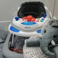 روروئک دلیجان