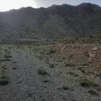 مهندس برق یا مکانیک دست به آچار جهت تعمیر و نگهدار