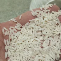 برنج ایرانی، بی واسطه از شالیکار بخرید|خوردنی و آشامیدنی|مشهد, عبادی|دیوار