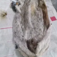 خیگ تمیز وخوش بو|صنایع دستی و سایر لوازم تزئینی|یاسوج, |دیوار