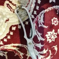 یک عدد قیچی خیاطی تیز