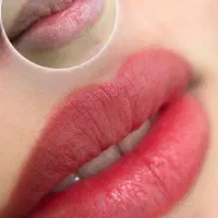 شیدینگ لب تخصصی با بهترین متریال