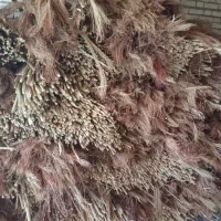 جاروخودبافت