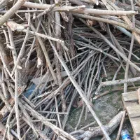 ضایعات چوب|خدمات پیشه و مهارت|رودبنه, |دیوار