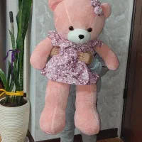 عروسک خرسی|اسباب‌بازی بچه|بندر انزلی, کلیور|دیوار