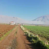 فروش مرغداری صنعتی