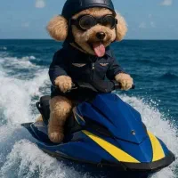 تور کیش لحظه آخری با اقساط ویژه