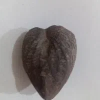 سنگ زیبا|کلکسیون اشیاء عتیقه|میاندوآب, |دیوار