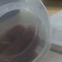 ظرف پلاستیکی درب دار|ظروف نگهدارنده، پلاستیکی، یکبارمصرف|اندیشه, شهرک صدف|دیوار