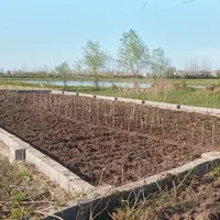 فروش زمین سرمایه گذاری ساحل چاف ۲۵۵ متر|فروش زمین و ملک کلنگی|چاف و چمخاله, |دیوار