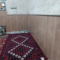 دست بافت درجه یک|فرش|خواف, |دیوار