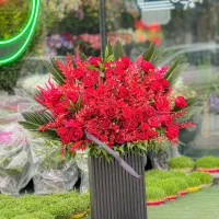 یاکس گل و دسته گل رز