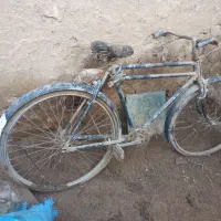 دوچرخه|دوچرخه، اسکیت، اسکوتر|بجنورد, |دیوار