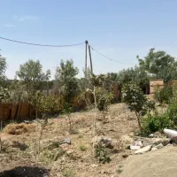 فروشی|فروش زمین و ملک کلنگی|اسلامشهر, کاشانک|دیوار