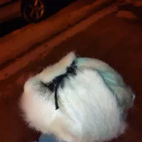 کلاه پشمی روسی