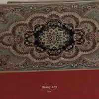 ۲ جفت پشتی