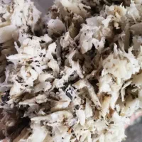 تفاله چغند ر در حد خشک حدود 20درصد رطوبت.|لوازم جانبی حیوانات|خانمیرزا, |دیوار