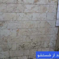 خدمات نظافت منزل و مشاعات با نظافتچی خانم و آقا|خدمات نظافت|تهران, فلسطین (میدان انقلاب)|دیوار