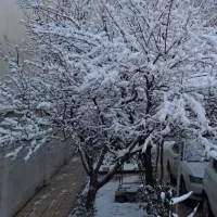 اجاره-آپارتمان-60-متری-گلستان-تهران-فلکه-اول