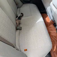 پراید ۹۸ تمیز کم‌ کار