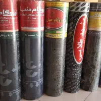 ایزوگام 12ماهه محمدی فیروزآباد