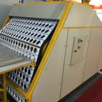 استخدام نیرو|استخدام صنعتی، فنی، مهندسی|بندرعباس, |دیوار