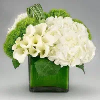 راهنمایی میکنم