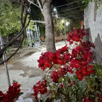 اجاره روزانه/هفتگی/ماهانه ویلا ۱۱۰۰ متری در الهیه|اجارهٔ کوتاه‌مدت ویلا و باغ|مشهد, الهیه|دیوار