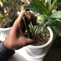 ایفون xs پلمپ|موبایل|تبریز, |دیوار