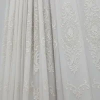 مقداری آجیل تو تاکسی جا مانده