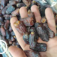 عمده فروشی انواع خرما و رطب