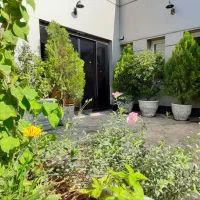 طراحی فضای سبز گل کاری باغبانی هرس پیوند|خدمات باغبانی و درختکاری|قم, بنیاد|دیوار