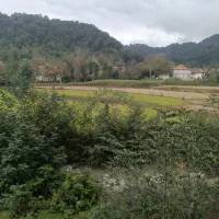 رهن و اجاره ۲۰۰میلیون با کرایه ۲میلیون|اجارهٔ خانه و ویلا|ماکلوان, |دیوار