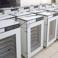 دستگاه جوجه کشی/انتی بـاکتری با درب شیــشه نشــکن+