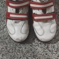 کفش|تجهیزات ورزشی|تویسرکان, |دیوار