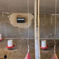 مشارکت-مرغداری-تخم-گذار