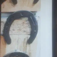 نعل اسب