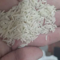 برنج پاکستانی رویال باسماتی|خوردنی و آشامیدنی|سنندج, |دیوار