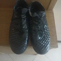 کفش سالنی حرفه ای مجیستا تمپو ایکس اصلی