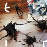 چوب ریشه های ظریف آبنوس درجه یک آکواریوم پلنت